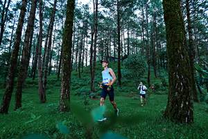 BIB: 
                            <button type="button" onclick="openModal(25020233)" class="btn btn-primary btn-sm float-right btn-popup" data-toggle="modal" data-target=".modal-high-quality">
                        <i class="fas fa-shopping-cart"></i> Add to Cart
                    </button>
                                            <button type="button" onclick="isThisMe(25020233, true)" class="btn btn-success btn-sm float-right btn-popup btn-isme hidden" data-toggle="tooltip" data-placement="bottom" title="นี่คือรูปของคุณใช่ไหม คลิกที่นี่เพื่อเอาเข้าอัลบั้ม">
                        <i class="fas fa-plus"></i> Add to album
                    </button>
                    <button type="button" onclick="isThisMe(25020233, false)" class="btn btn-warning btn-sm float-right btn-popup btn-isnotme hidden">
                        <i class="fas fa-ban"></i> Remove from album
                    </button>